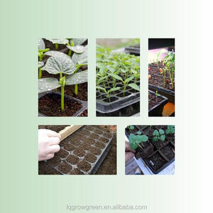 Bac à jardinage en papier biodégradables, 1 pièce, <span class=keywords><strong>Pots</strong></span> de plantes à haricots, <span class=keywords><strong>semis</strong></span>, fleurs, plantation à plateau - Product Image 6