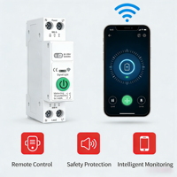 Interrupteur intelligent WIFI TUYA MCB 1P+N 6-63A 90-300V avec compteur d'énergie en cuivre (Kw/h) et capacité de coupure 6kA, programmable, montage sur rail DIN