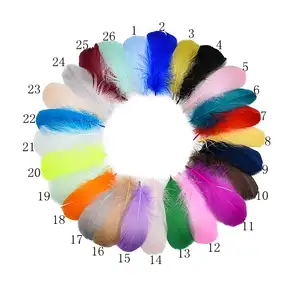 Wholesale colored Goose Feathers Duck feather for sale carnival costumes dream catcher decoration