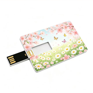 Clé <span class=keywords><strong>USB</strong></span> personnalisée avec logo OEM, <span class=keywords><strong>USB</strong></span> 2.0/3.0, 2 Go, 4 Go, 8 Go, 16 Go, 32 Go, 64 Go, format carte de crédit, <span class=keywords><strong>lot</strong></span> de <span class=keywords><strong>clés</strong></span> <span class=keywords><strong>USB</strong></span> - Product Image 3