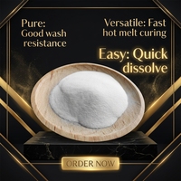 Poudre DTF TPU blanche doublement scellée résistante à l'humidité, prix usine compétitif, pour impression par transfert thermique de logos personnalisés sur vêtements