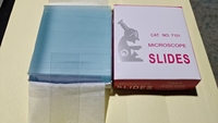 Microscope Slide Glass Slides Microscope Microscope Slides Frosted