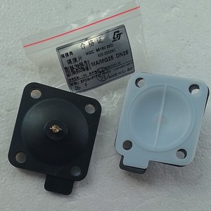 Láminas de Diafragma Chengji DN25 0677677 de PTFE Teflón Resistentes a la Corrosión de Doble Capa para Lijadoras - Product Image 1