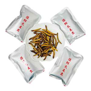 Vers de farine frais de marque <span class=keywords><strong>WTX</strong></span>, 35g, qualité supérieure, riche en protéines, pour l'alimentation des reptiles, des oiseaux et des poissons - Product Image 6