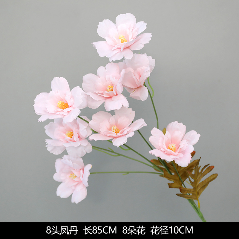 8-headed phoenix peony