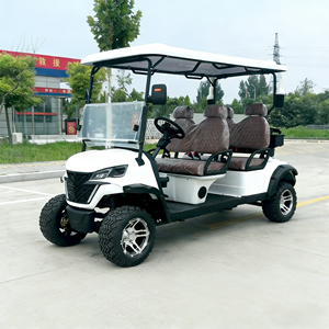 Carrito de Golf Clásico de Seis Plazas Premium con Batería de Litio y Estructura de Aluminio, Exportado de China - Product Image 4