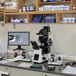 체외수정 또는 현미경 수술에 RC-ICSI 체외수정 <span class=keywords><strong>IVF</strong></span> 현미경 올림푸스 IX73 - Product Image 2