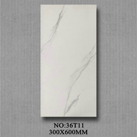 Carrelage en porcelaine aspect béton gris mat moderne 300x600 mm (12x24 pouces) antidérapant, rustique, pour sol et mur, idéal pour la décoration de salle de bain