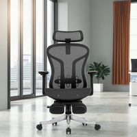Extra Large Dos Haut Confortable Colonne Vertébrale Convient Gris Maille Moderne Président de Direction Chaise de Bureau Ergonomique Ajustable