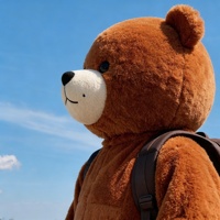 Tête de mascotte personnalisée de haute qualité Hola/tête de mascotte d'ours en peluche/tête de mascotte de dessin animé