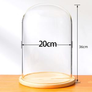 Bel Led Oval penjualan laris tampilan bunga kaca kerajinan <span class=keywords><strong>lilin</strong></span> Cloche Logo kustom kubah kaca kubah bening penutup <span class=keywords><strong>Cctv</strong></span> - Product Image 6