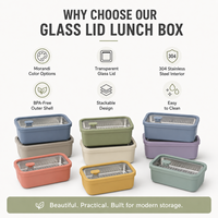 Boîte à bento de couleur personnalisée en acier inoxydable, boîte à lunch colorée avec couvercle en verre, récipient de stockage alimentaire sans BPA
