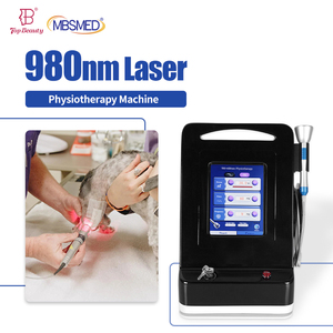 Dispositivo Profesional de Fisioterapia con Láser de 980nm para Tratamiento en Clínicas Veterinarias - Product Image 1