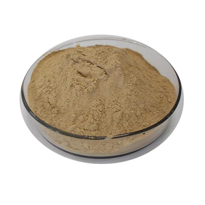 Nhà cung cấp bột <span class=keywords><strong>ginsenoside</strong></span> 80% <span class=keywords><strong>ginsenoside</strong></span> 20 S Rg1 rg2 Rg3 98% <span class=keywords><strong>ginsenoside</strong></span> rh2 Rb1 <span class=keywords><strong>re</strong></span> - Product Image 5