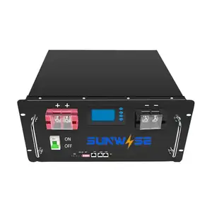 Smart BMS LiFePO4 10kwh 50 kwh 24V 48V 100Ah 200Ah 100Ah Server solare agli ioni di litio montato pacco batteria per il sistema solare