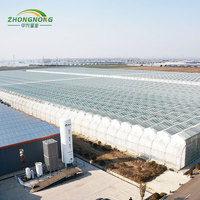 Serre agricole intelligente multi-chapelles 30x96m, grande serre hydroponique en verre à rideaux thermiques manuels, en promotion