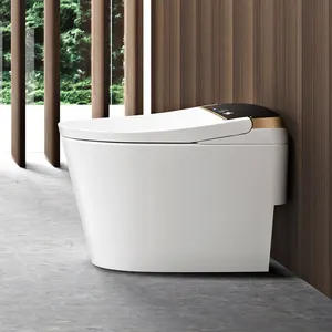 1 Piece Intelligence Electric Automatic Toilet With Concealed Water Tank