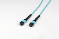 10G 100G OM3 8 ~ 24 Core Trunk Cable MTP Optique MPO MDC Fiber Optique Patch Cord