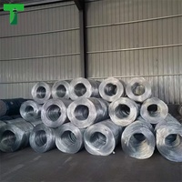 22 calibre 16 fil galvanisé à chaud pour câble et serre Bwg Swg diamètre