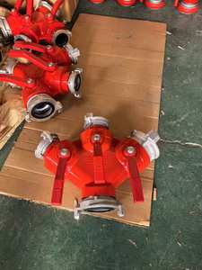 Fabrieksdirecte verkoop brandwaterverdeler waterverdeler kogelkraan verdeler met BS-koppelingen brandbestrijdingsapparatuur en accessoires - Product Image 4