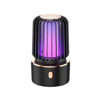 Lampe anti-moustiques électrique LED rechargeable rétro double fonction, étanche, portable, pour l'intérieur, l'escalade et la randonnée