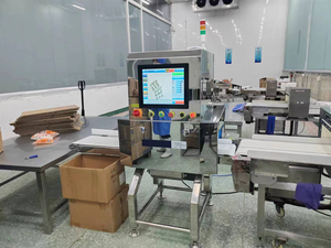 Detector de Metales para Inspección de Seguridad Alimentaria, Procesamiento Industrial por Rayos X, Empaquetado y Producción - Product Image 4