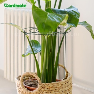 Lot de 3 supports de <span class=keywords><strong>plantes</strong></span> ronds modernes <span class=keywords><strong>pour</strong></span> fleurs, pivoines, roses, lys, <span class=keywords><strong>plantes</strong></span> d'intérieur et d'extérieur, anneaux de soutien - Product Image 5