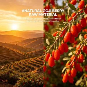 Extrait de Polysaccharides de Goji Haute Pureté 30% 50% Extrait de Fruit de Goji Matière Première Végétale Naturelle Complément Alimentaire en <span class=keywords><strong>Poudre</strong></span> - Product Image 3