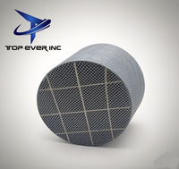 Filtro Antiparticolato SiC DPF Catalizzatore a Nido d'Ape per Camion Commerciali