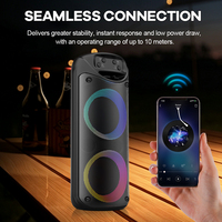 Haut-parleur radio FM TWS V5.0 avec LED RGB, double mode filaire/sans fil, batterie 1200 mAh, portable pour fêtes et home cinéma