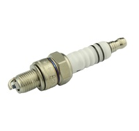 Bougies d'allumage en platine de haute qualité Bujia Platino 4212 HR8DPX, pièces de moteur automobile avec finition en platine