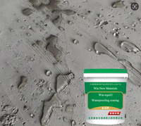 Revestimiento impermeable Nano de alta calidad para hormigón