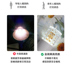 Ampoule LED A19 Culot E27 Source de lumière SMD Corps en plastique Contrôle par interrupteur manuel AC 165-265V 6000K Lumière du jour CRI80 3200LM - Product Image 2