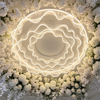 Bande lumineuse LED pour plafond, en acier inoxydable, pour extérieur, camping, restaurant, ambiance, décoration de mariage, fabricant
