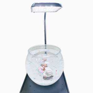 Standaard Praktisch Rond Transparant Plastic Aquarium 6 Liter Huisdiermateriaal Aquarium Klein Bureaublad Sieraquarium - Product Image 3