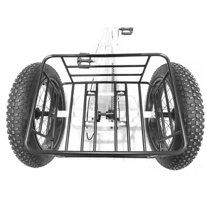 2023 nouveau pas cher e-Trikes 3 roues Cargo Tricycles électriques <span class=keywords><strong>moto</strong></span> trois roues adulte - Product Image 5