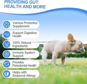 Probióticos Aprobados por Veterinarios para Perros, Masticables Blandos con Enzimas Digestivas, Apoyo para la Salud Intestinal, Equilibrio de Hongos, Suplemento Probiótico para Mascotas - Product Image 2