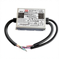 Mean Well XLG-20-H-B 20W 700mA 40V Driver LED étanche AC-DC à sortie unique pour projecteur et éclairage public