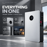 Sistem Penyimpanan Energi Baterai LiFePO4 All in One 5kWh 5kW untuk Rumah, 51.2V 100Ah dengan Inverter untuk Sistem Tenaga Surya Rumah Tangga