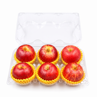 Boîte d'emballage transparente en plastique PET pour 6 pommes, conteneur de fruits recyclé en gros pour présentation