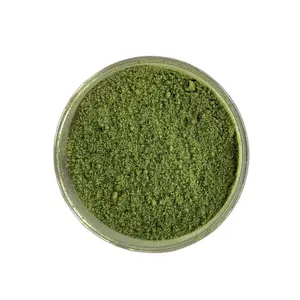 Fornitura di fabbrica foglia di giada estratto di tè verde puro al 100% polvere di Matcha