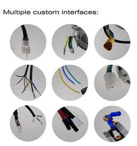 Бесщеточный двигатель постоянного тока 36 В/48 В 750 Вт-1200 Вт с постоянным магнитом, регулируемая скорость и вал для газонокосилки/электровелосипеда/мотоцикла - Product Image 6