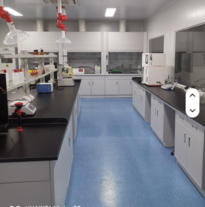 طاولة مغسلة لمختبر الكيمياء الفولاذية مع مختبر علم الأمراض بالجزيرة - Product Image 2