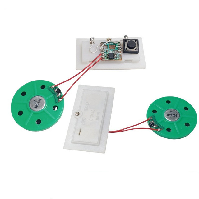 DIY Customization Music or Sound Toy Voice Message Playback Module with Press Button and Rechargeable Battery Case