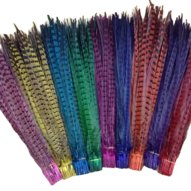 Factory wholesale colorful Ringneck pheasant Rooster tail feather for party Samba performance clothes decoration