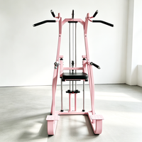 Machine Commerciale Multifonctionnelle d'Entraînement en Salle de Sport pour Tractions et Dips, Équipement pour Exercices du Dos, des Triceps et de la Poitrine, Direct Usine, Certifié CE