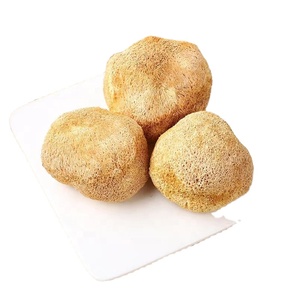 Crinière <span class=keywords><strong>de</strong></span> <span class=keywords><strong>lion</strong></span> aux champignons séchés naturels - Product Image 2