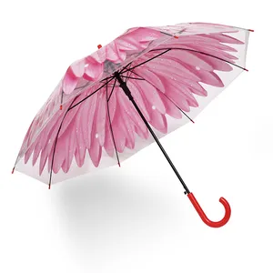 Großhandel Klare Regenschirm Kuppel transparente Form Prinzessin Regenschirm Sonnenschirm Hochzeit Kind Regenschirm für Mädchen