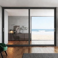 Porte coulissante moderne à double vitrage, à économie d'énergie, pour patio, grande, robuste et de qualité commerciale