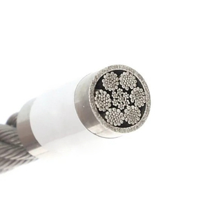 <span class=keywords><strong>Cable</strong></span> <span class=keywords><strong>de</strong></span> <span class=keywords><strong>acero</strong></span> <span class=keywords><strong>inoxidable</strong></span> 304 7X19 Cuerda <span class=keywords><strong>de</strong></span> alambre <span class=keywords><strong>de</strong></span> <span class=keywords><strong>acero</strong></span> <span class=keywords><strong>inoxidable</strong></span> <span class=keywords><strong>para</strong></span> construcción - Product Image 6